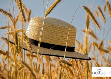 EL VERANO: UN IDIOMA QUE SE HUELE Y SE ESCUCHA