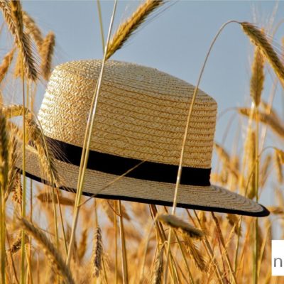EL VERANO: UN IDIOMA QUE SE HUELE Y SE ESCUCHA