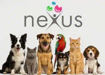 EL VÍNCULO QUE NOS UNE BY NEXUS